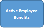 Active Employee Benefits