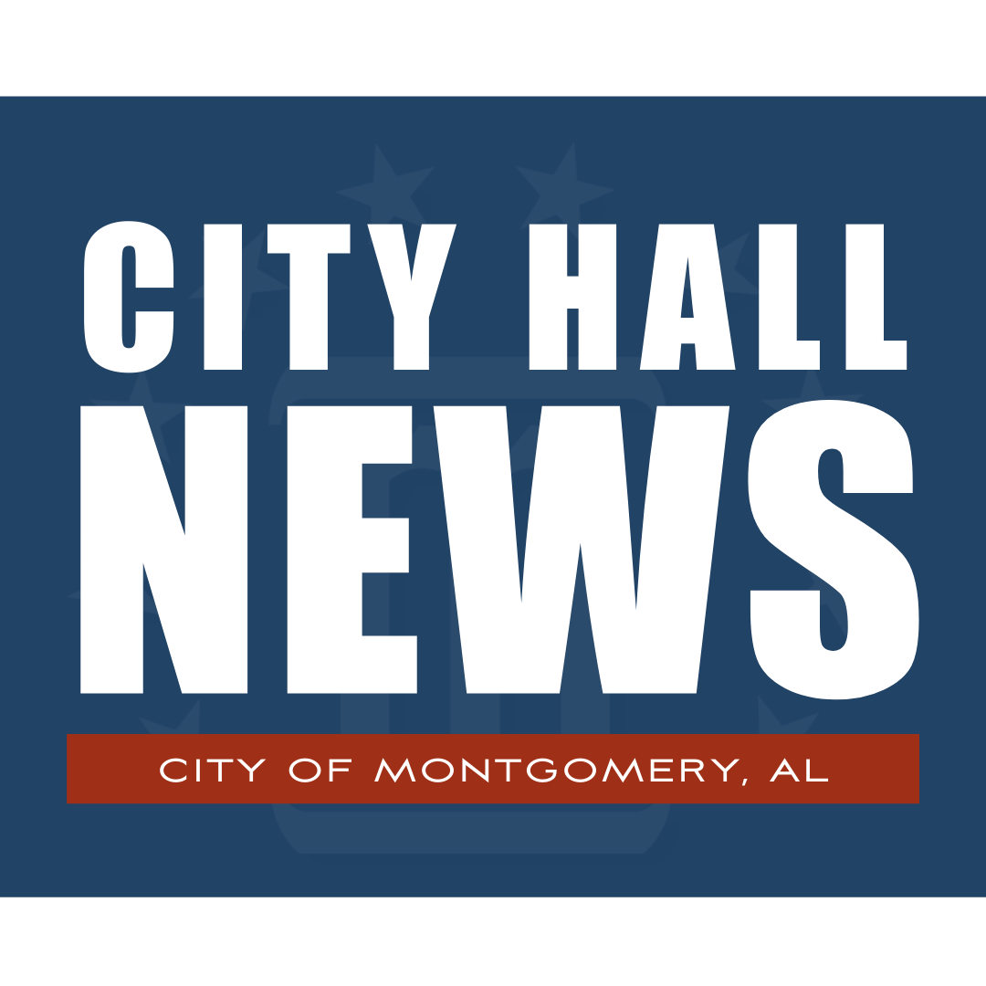 cityhallnews (3)